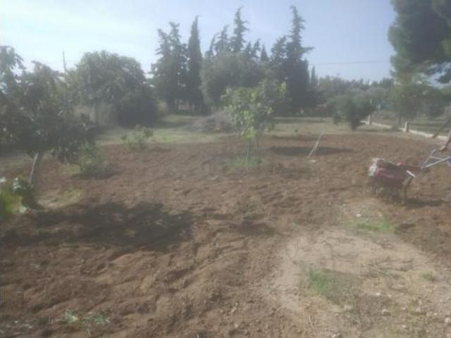 Chalet en venta en La Palma, Campo de Cartagena y Mar Menor