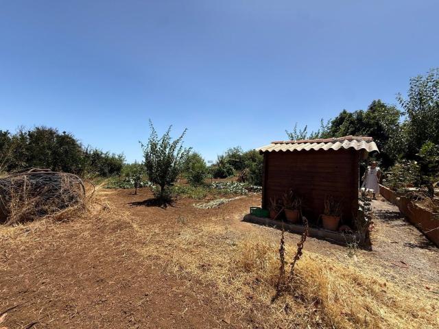 Casa en venta en Vega De San Mateo, Canarias