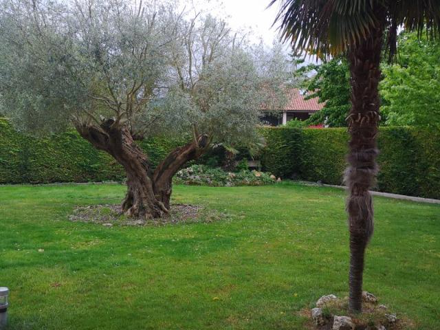 Chalet en venta en Mendizorrotza, Gasteizko kuadrilla