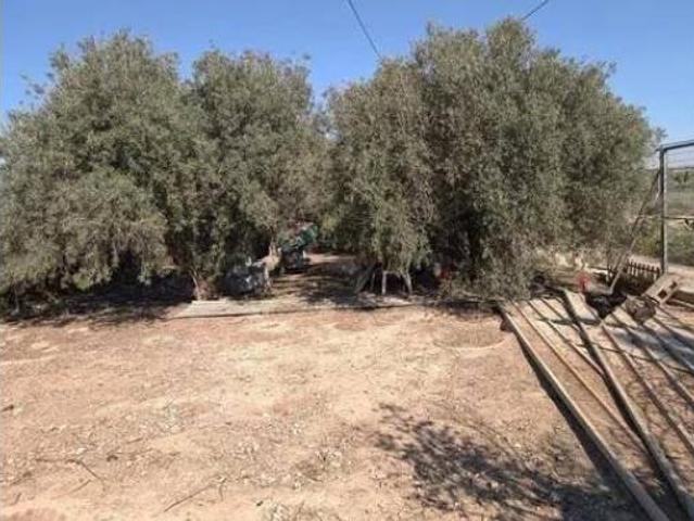 Chalet en venta en Alcantarilla, Área Metropolitana de Murcia