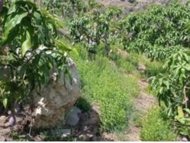 Chalet en venta en Los Llanos, La Axarquía