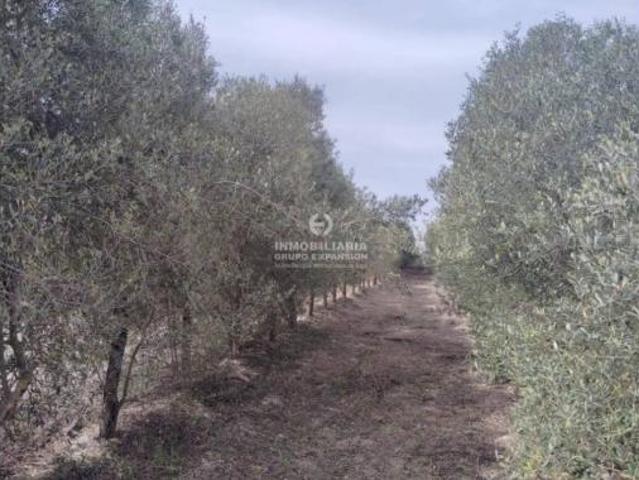Chalet en venta en Centro, l'Alacantí