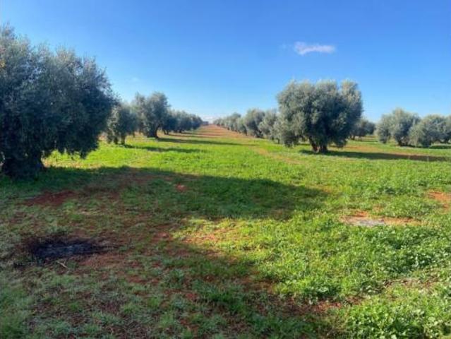 Chalet en venta en Almagro, Castilla-La Mancha