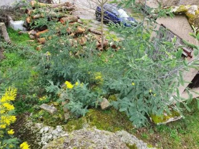 Chalet en venta en Amoeiro, Ourense