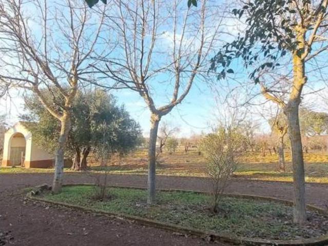 Chalet en venta en Argamasilla De Calatrava, Castilla-La Mancha