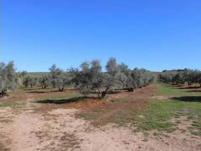 Chalet en venta en Ronda, Serranía de Ronda