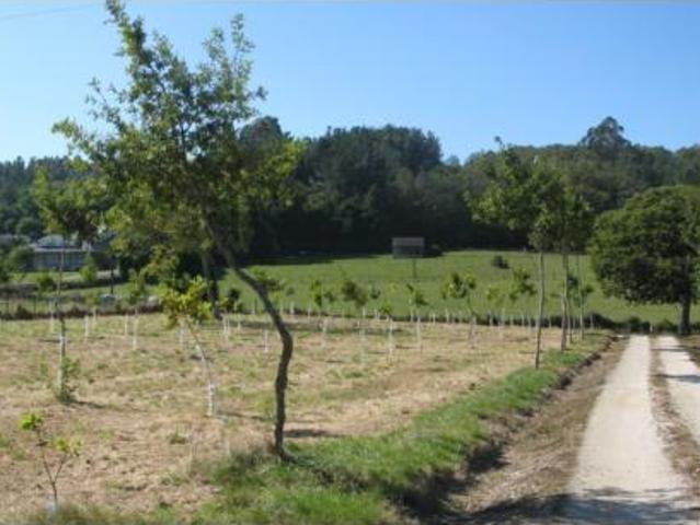 Chalet en venta en O Eume, Galicia