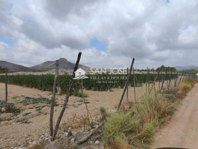 Chalet en venta en Urbanización Jardines de San Ramón, el Vinalopó Mitjà / El Vinalopó Medio