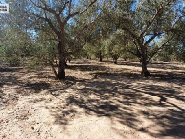 Chalet en venta en La Columna, el Vinalopó Mitjà / El Vinalopó Medio