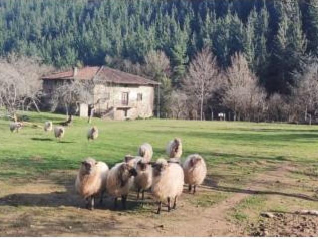 Villa en venta en Aiara