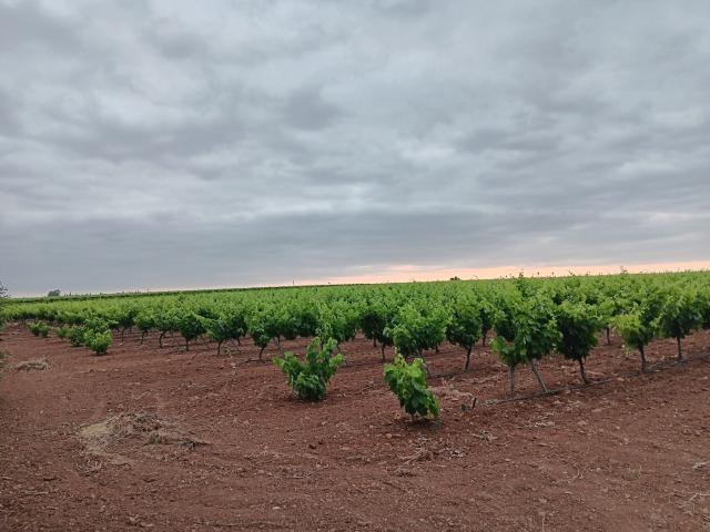 Chalet en venta en Villafranca de los Barros, Tierra de Barros