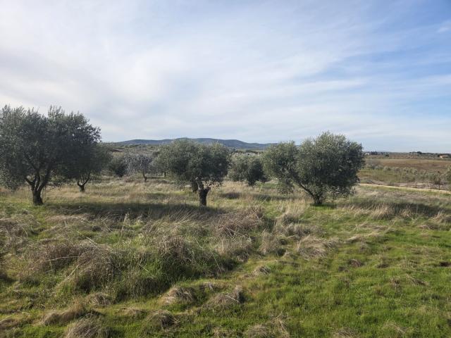 Chalet en venta en Villafranca de los Barros, Tierra de Barros