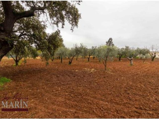 Chalet en venta en Tierra de Badajoz, Extremadura
