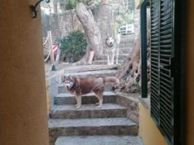 Chalet en venta en Serra de Tramuntana, Baleares