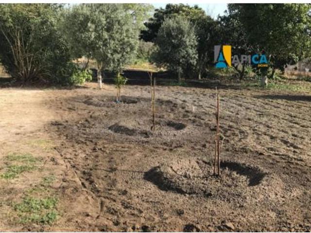 Chalet en venta en Ribera de la Oliva, La Janda