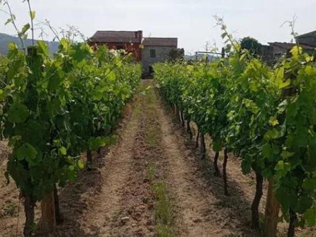 Chalet en venta en O Ribeiro, Galicia