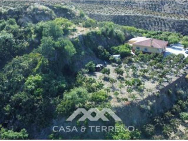 Villa en venta en Benamocarra
