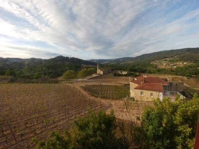 Chalet en venta en O Carballiño, Galicia