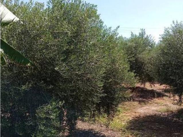 Chalet en venta en la Plana Alta, Valencia