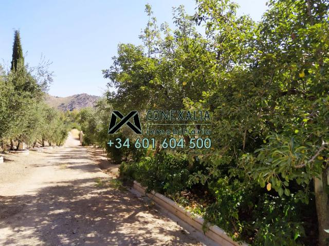 Chalet en venta en Sierra de Cádiz, Andalucía