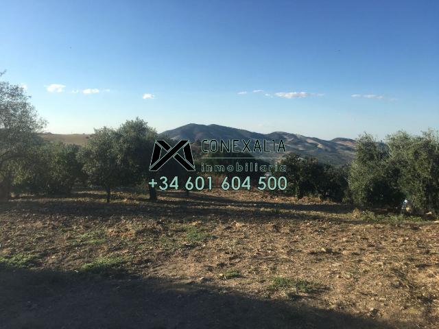 Chalet en venta en Barriada Constitución, Olvera