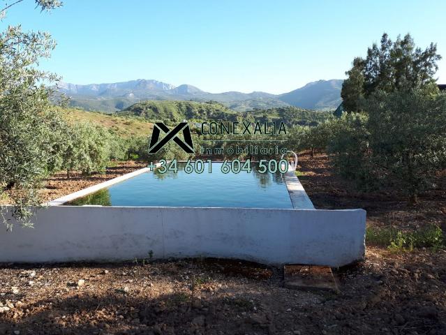 Chalet en venta en Sierra de Cádiz, Andalucía