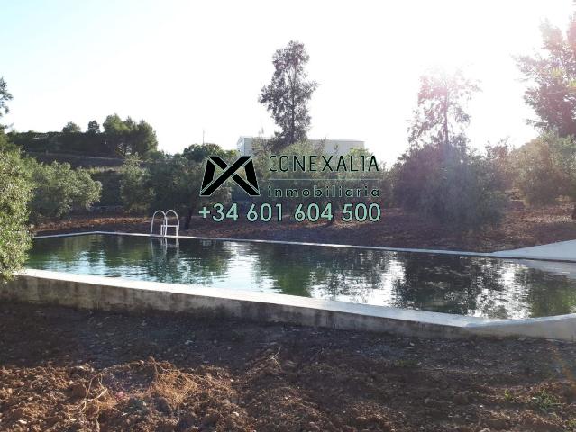 Chalet en venta en Sierra de Cádiz, Andalucía