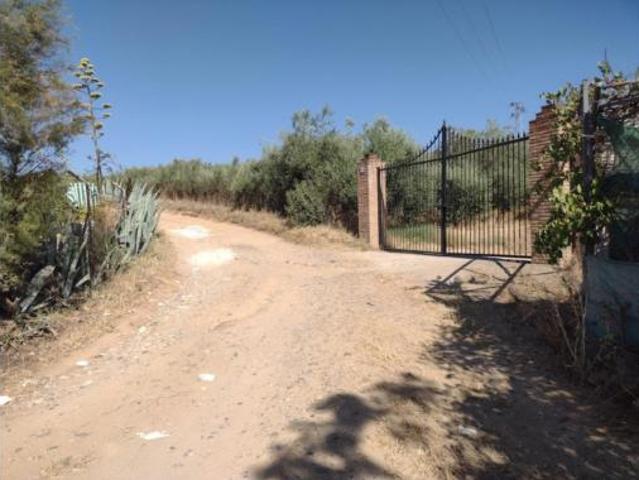 Chalet en venta en Cantillana, Sevilla