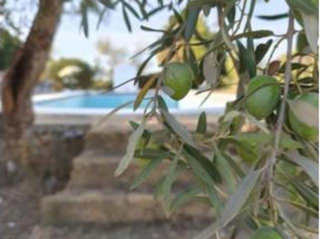 Chalet en venta en Urbanización Los Frutales del Alcor, Carmona