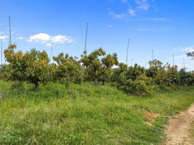 Chalet en venta en Almoraima, Campo de Gibraltar