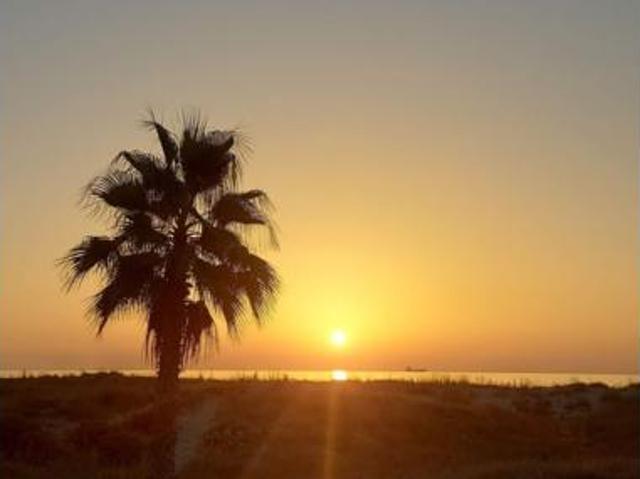 Chalet en venta en la Plana Alta, Valencia