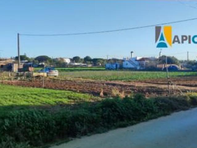 Chalet en venta en Barrio Nuevo, La Janda