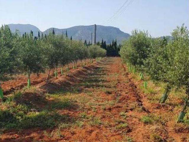 Chalet en venta en Barri del Clavell, la Ribera Baixa