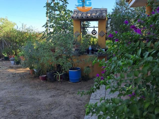 Chalet en venta en Posadas, Andalucía