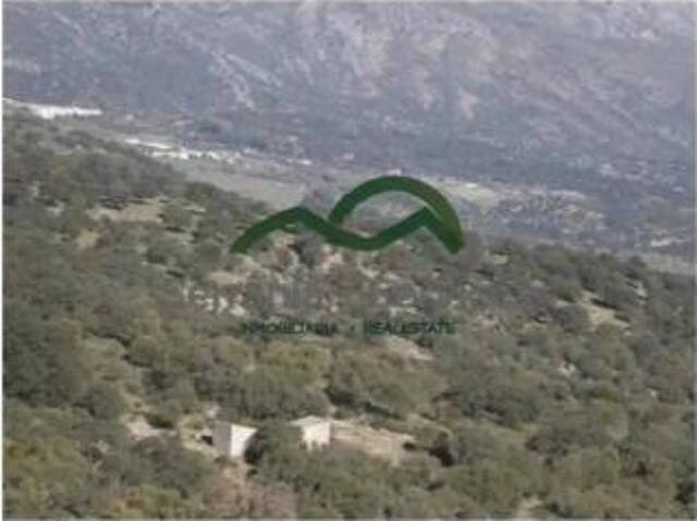 Chalet en venta en Serranía de Ronda, Andalucía