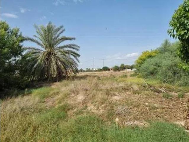 Chalet en venta en el Baix Segura / La Vega Baja, Valencia