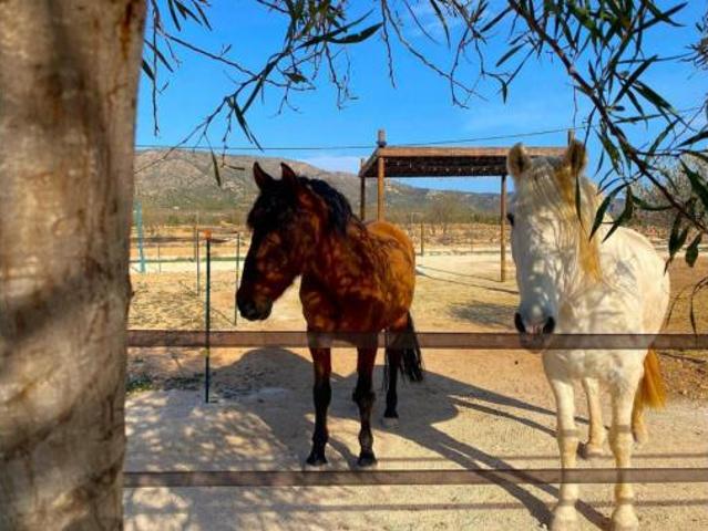 Chalet en venta en Úbeda, el Vinalopó Mitjà / El Vinalopó Medio