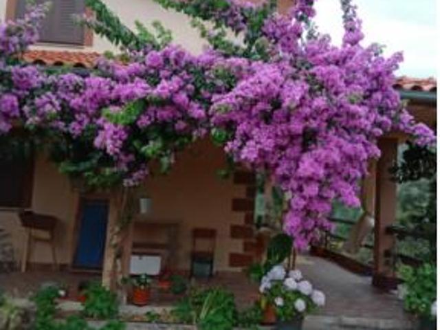 Chalet en venta en El Torno, Extremadura