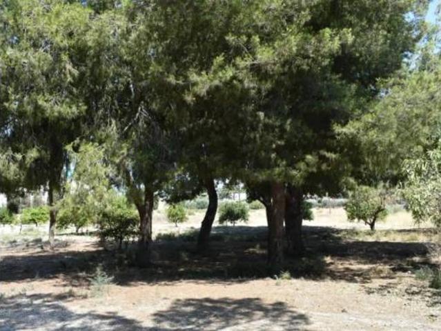 Chalet en venta en Atzavares, el Baix Vinalopó