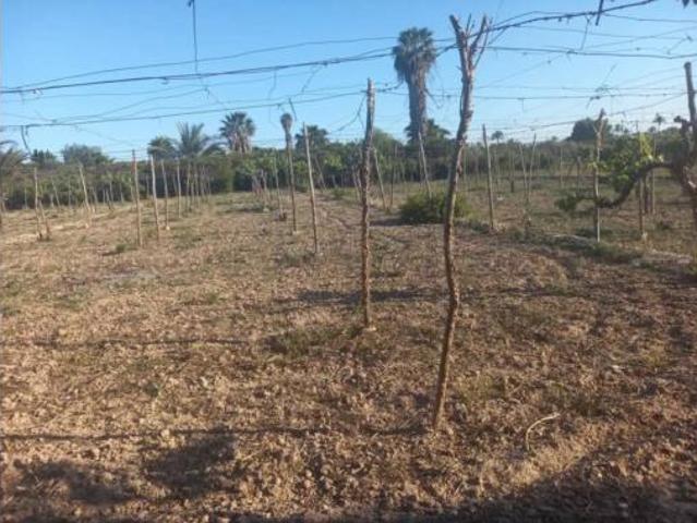 Chalet en venta en la Foia, el Baix Vinalopó