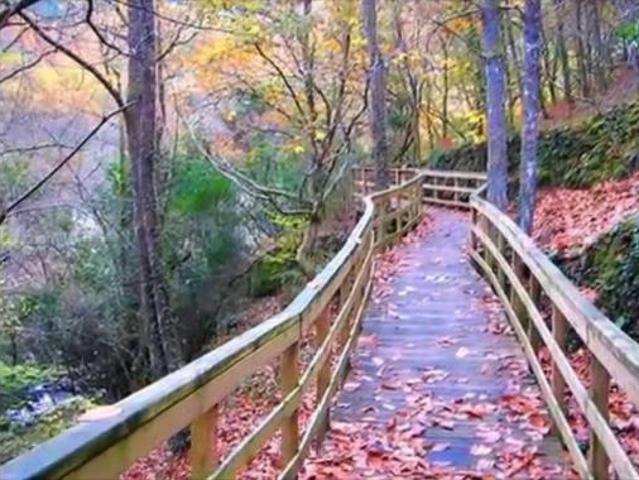 Chalet en venta en Ourense, Galicia