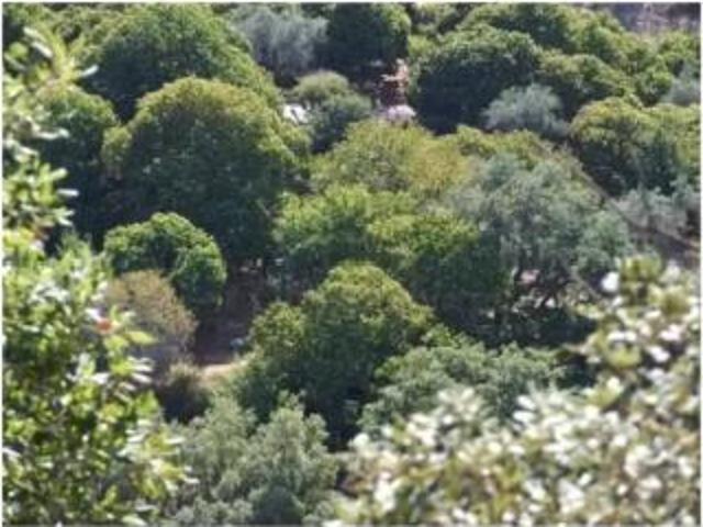 Chalet en venta en Serranía de Ronda, Andalucía