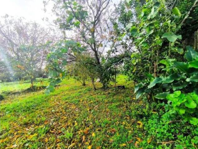 Chalet en venta en Santa Cecilia de Trasancos, Ferrol