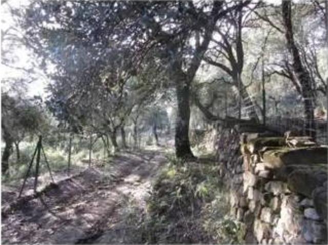 Chalet en venta en Serranía de Ronda, Andalucía