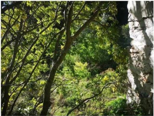 Chalet en venta en Serranía de Ronda, Andalucía