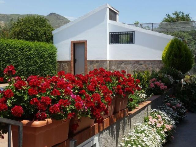 Chalet en venta en Comarca de la Alpujarra Granadina, Andalucía