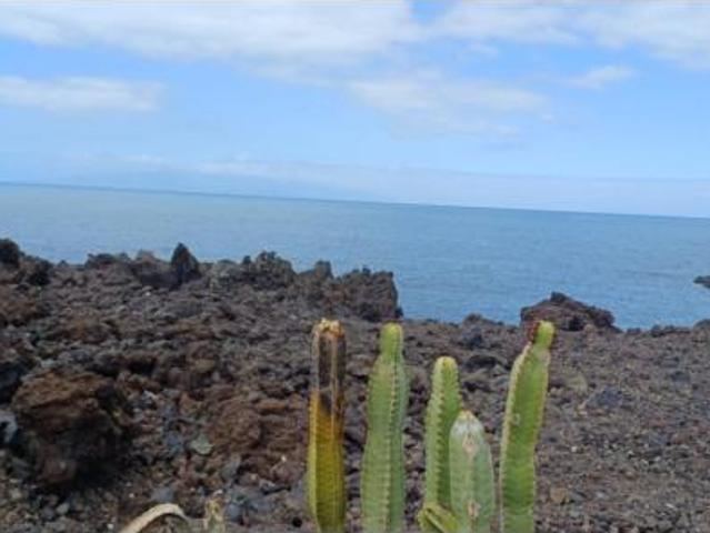 Chalet en venta en Guía de Isora, Canarias