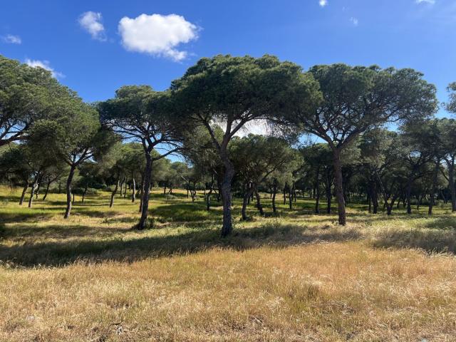 Chalet en venta en Comarca Metropolitana de Huelva, Andalucía