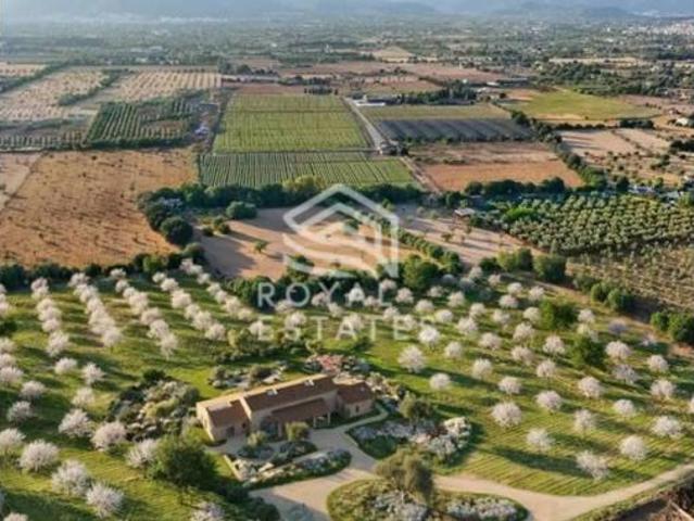 Chalet en venta en Raiguer, Baleares