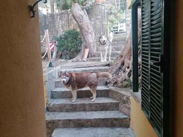 Chalet en venta en sa Pedruscada, Llevant